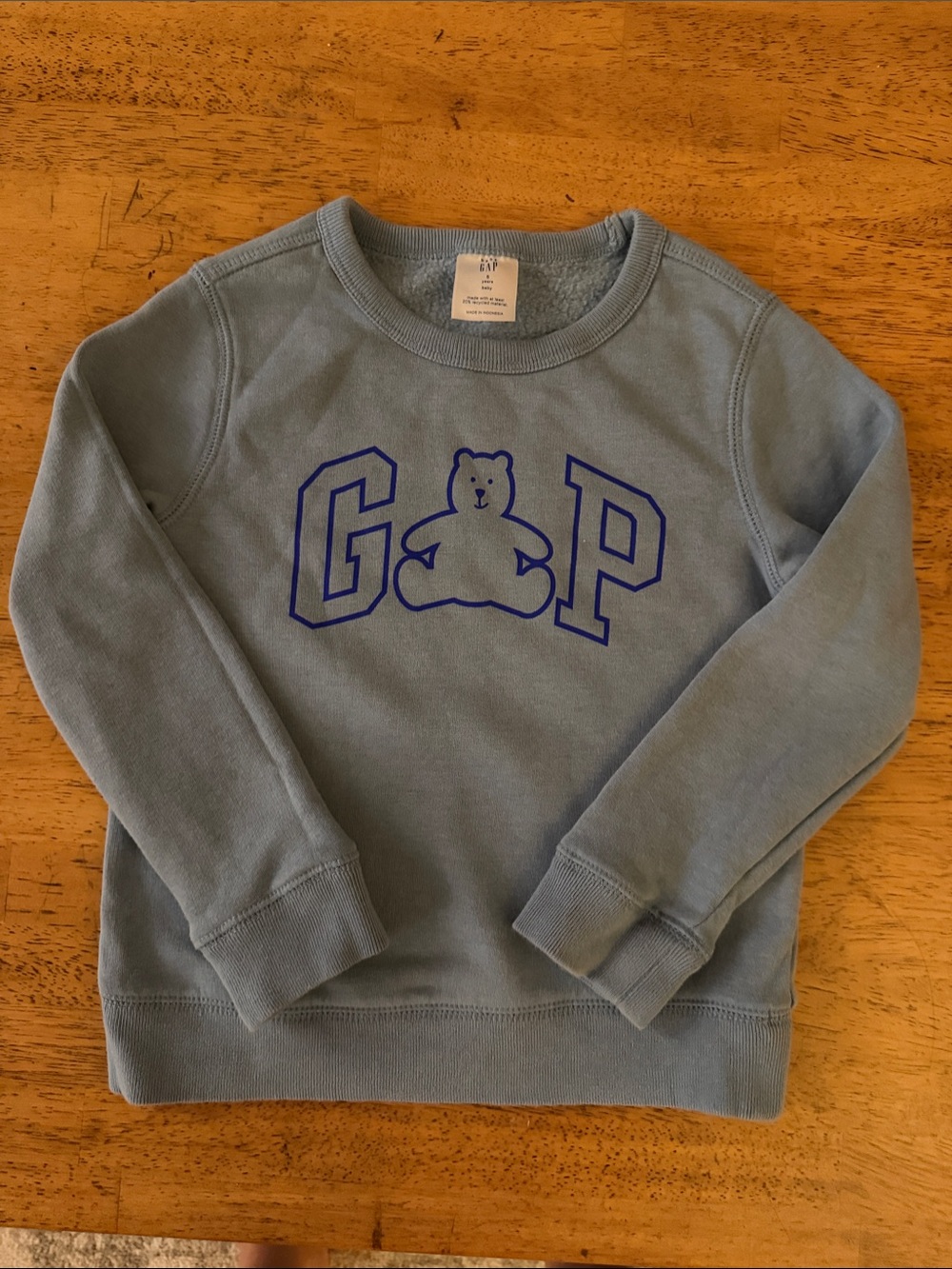 Little Boys GAP Light Blue Sweatshirt with Navy Bear Logo